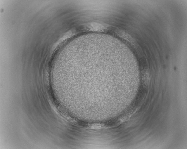 X0000059040587200511041639