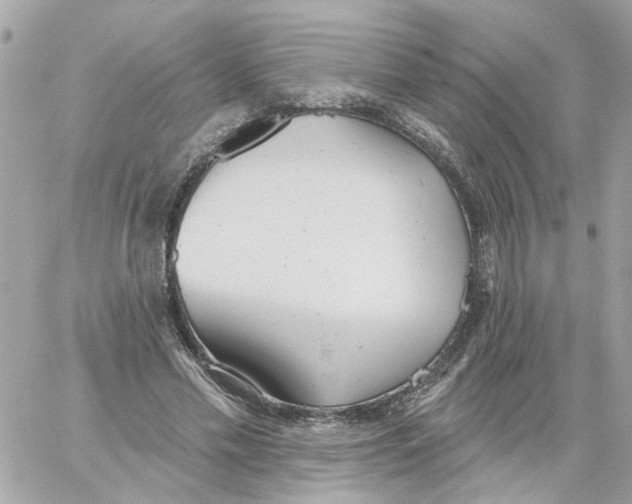 X0000059040589200511041639