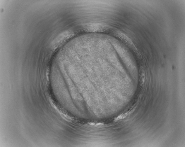 X0000059040590200511041639