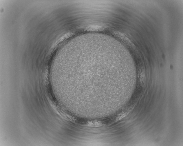 X0000059040591200511041639