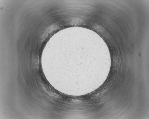 X0000059040592200511041639