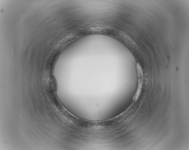 X0000059040593200511041639