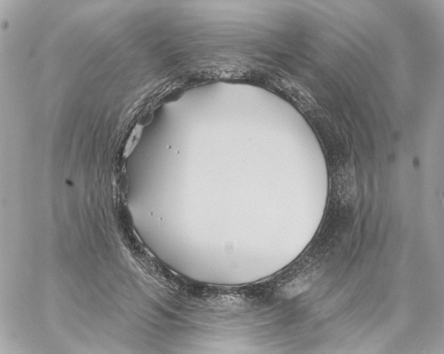 X0000059040594200511041639