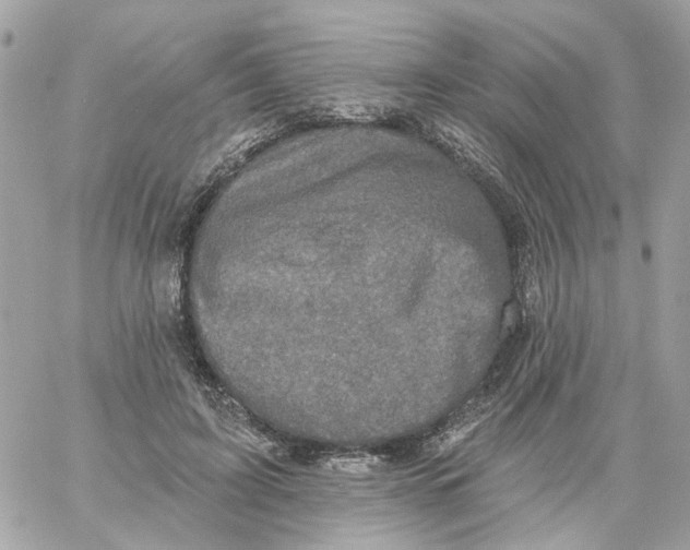 X0000059040595200511041639