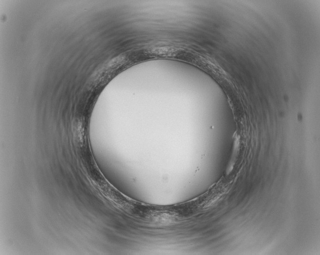 X0000059040597200511041638