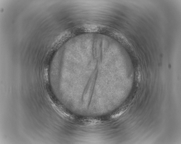 X0000059040598200511041638