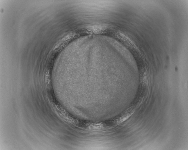 X0000059040599200511041638