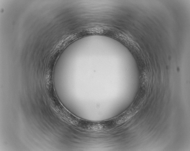 X0000059040600200511041638