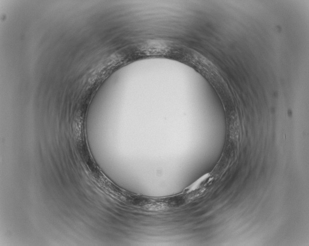 X0000059040604200511041638