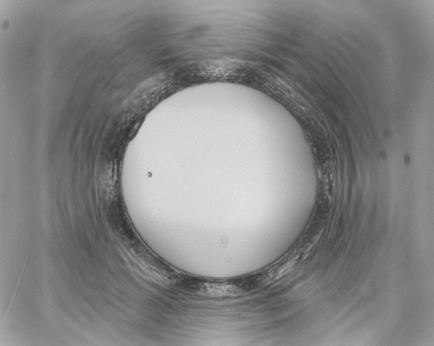 X0000059040605200511041638