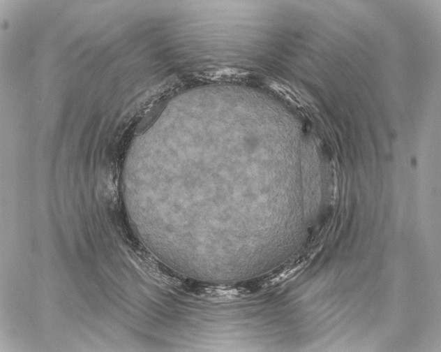 X0000059040607200511041638