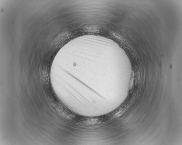 X0000059040609200511041638