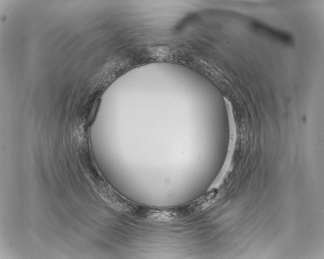 X0000059040611200511041638