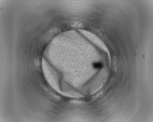 X0000059040614200511041638