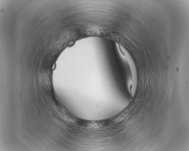 X0000059040616200511041638