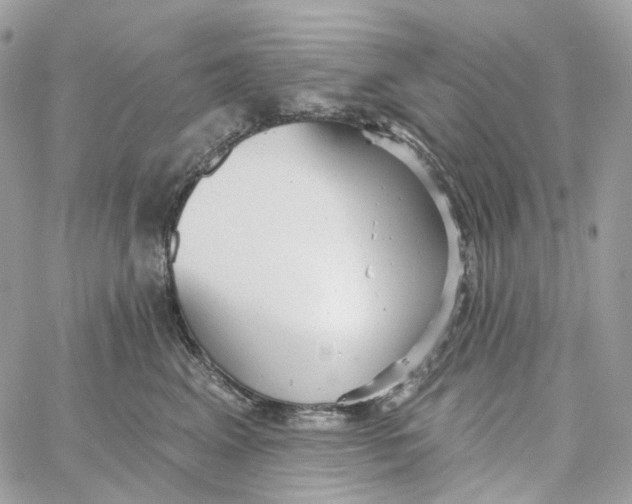 X0000059040617200511041638