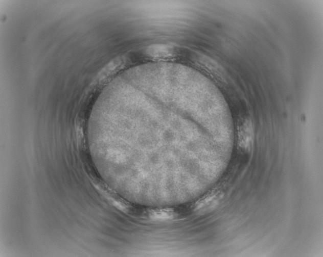 X0000059040618200511041638