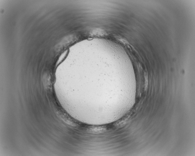 X0000059040619200511041638