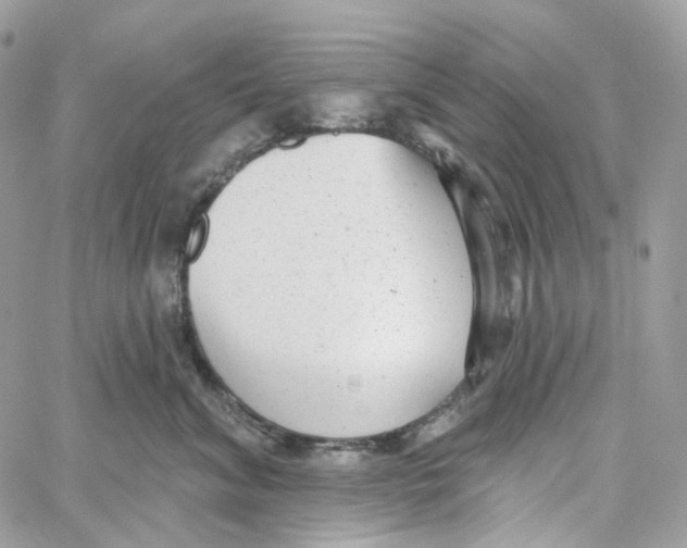 X0000059040620200511041638