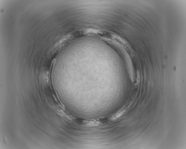 X0000059040621200511041638