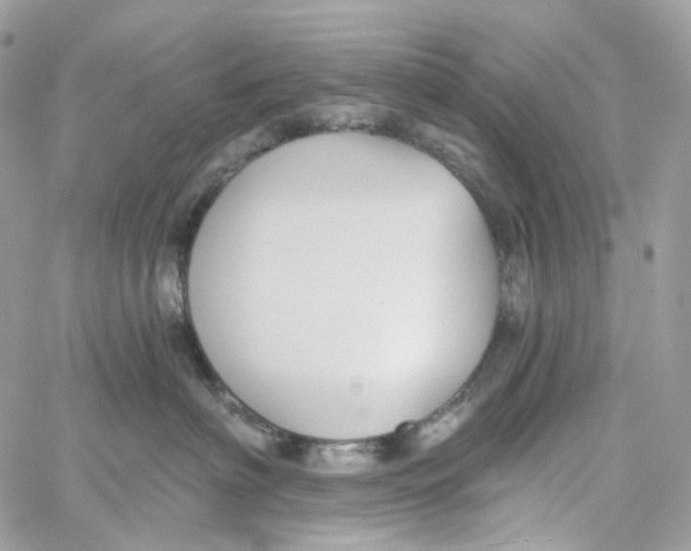 X0000059040622200511041638