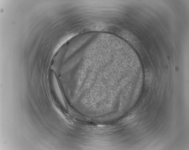 X0000059040626200511041637