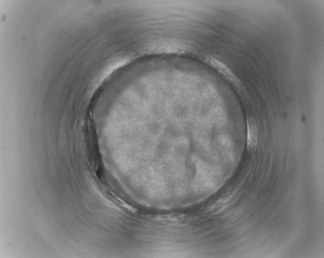 X0000059040627200511041637