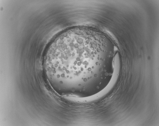 X0000059040628200511041637