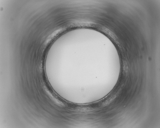 X0000059040629200511041637