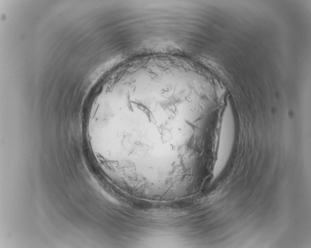 X0000059040630200511041637