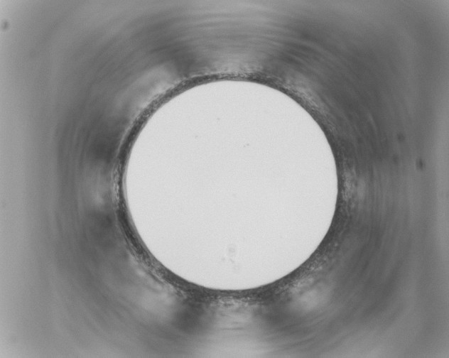 X0000059040632200511041637