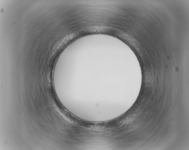 X0000059040633200511041637