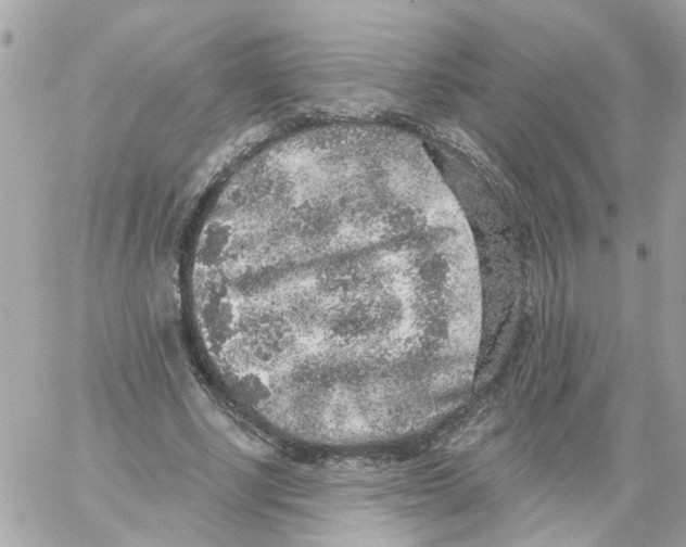 X0000059040634200511041637