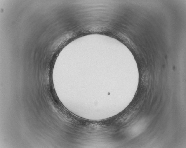 X0000059040635200511041637