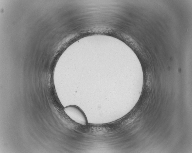 X0000059040636200511041637