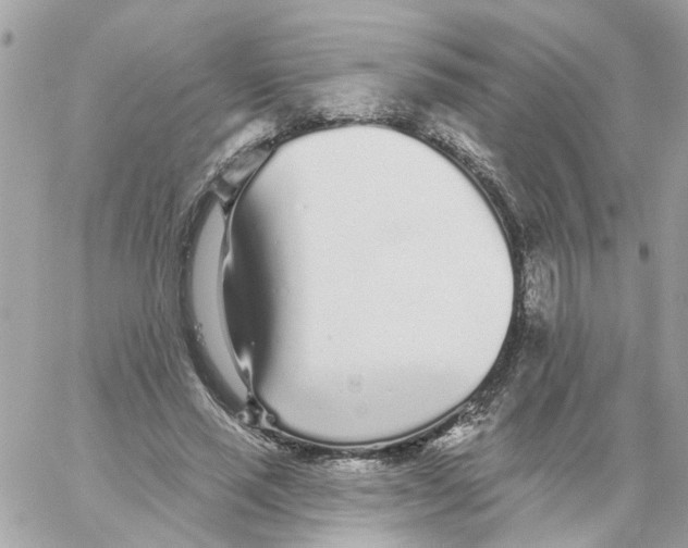 X0000059040637200511041637