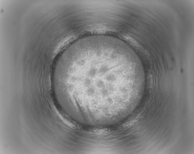 X0000059040638200511041637