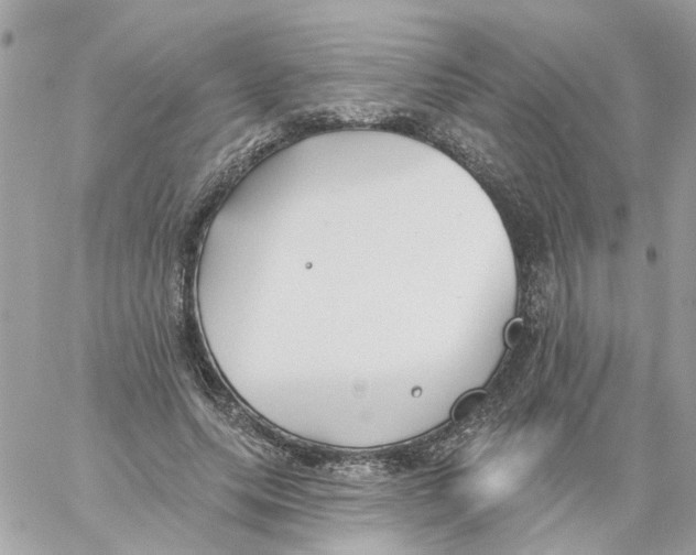 X0000059040639200511041637