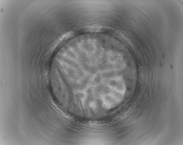 X0000059040641200511041637