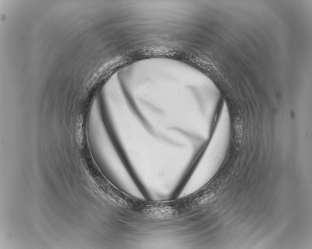 X0000059040642200511041637