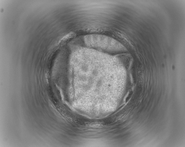 X0000059040643200511041637