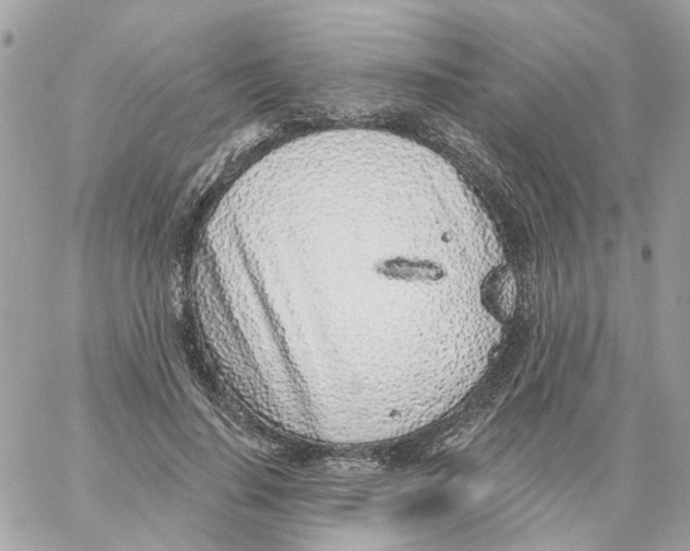 X0000059040644200511041638