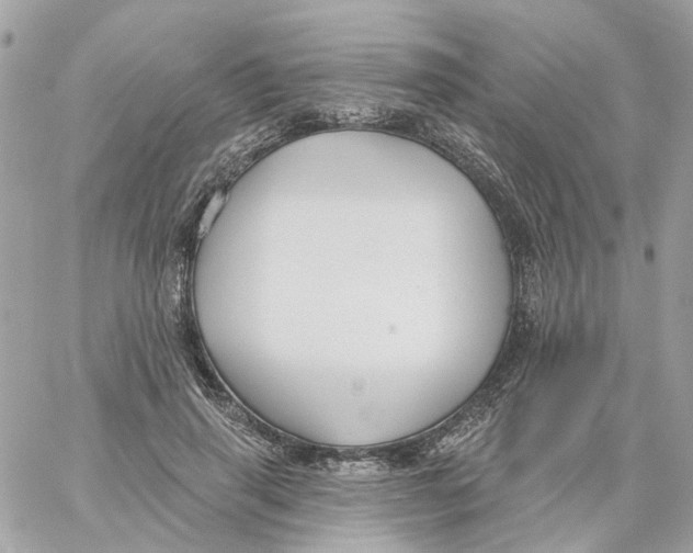 X0000059040645200511041638