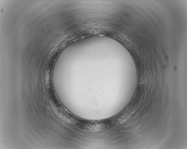 X0000059040646200511041638