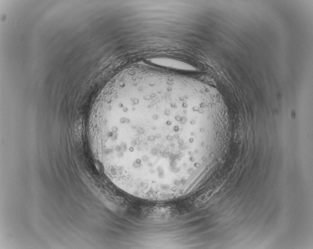 X0000059040647200511041638