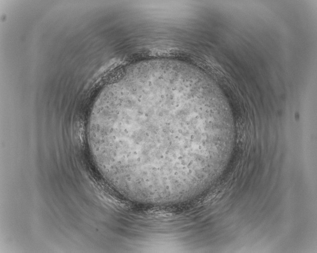 X0000059040648200511041638