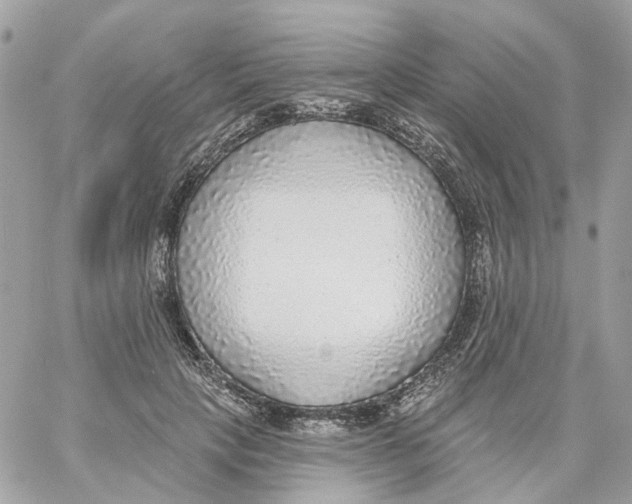 X0000059040649200511041638