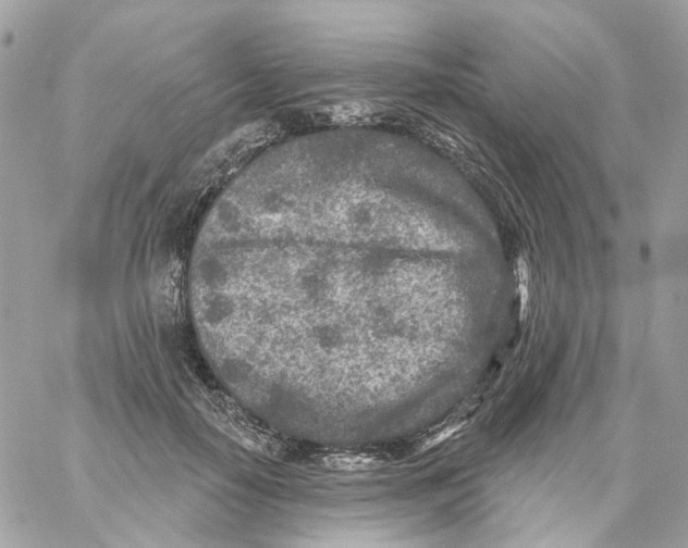 X0000059040650200511041638