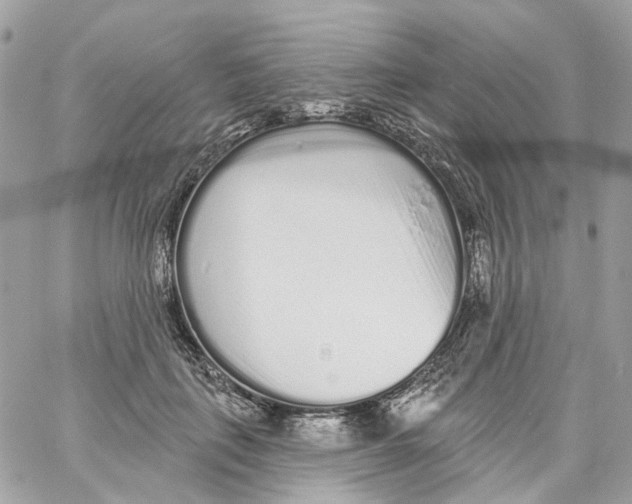 X0000059040651200511041638