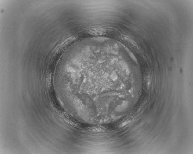 X0000059040652200511041638